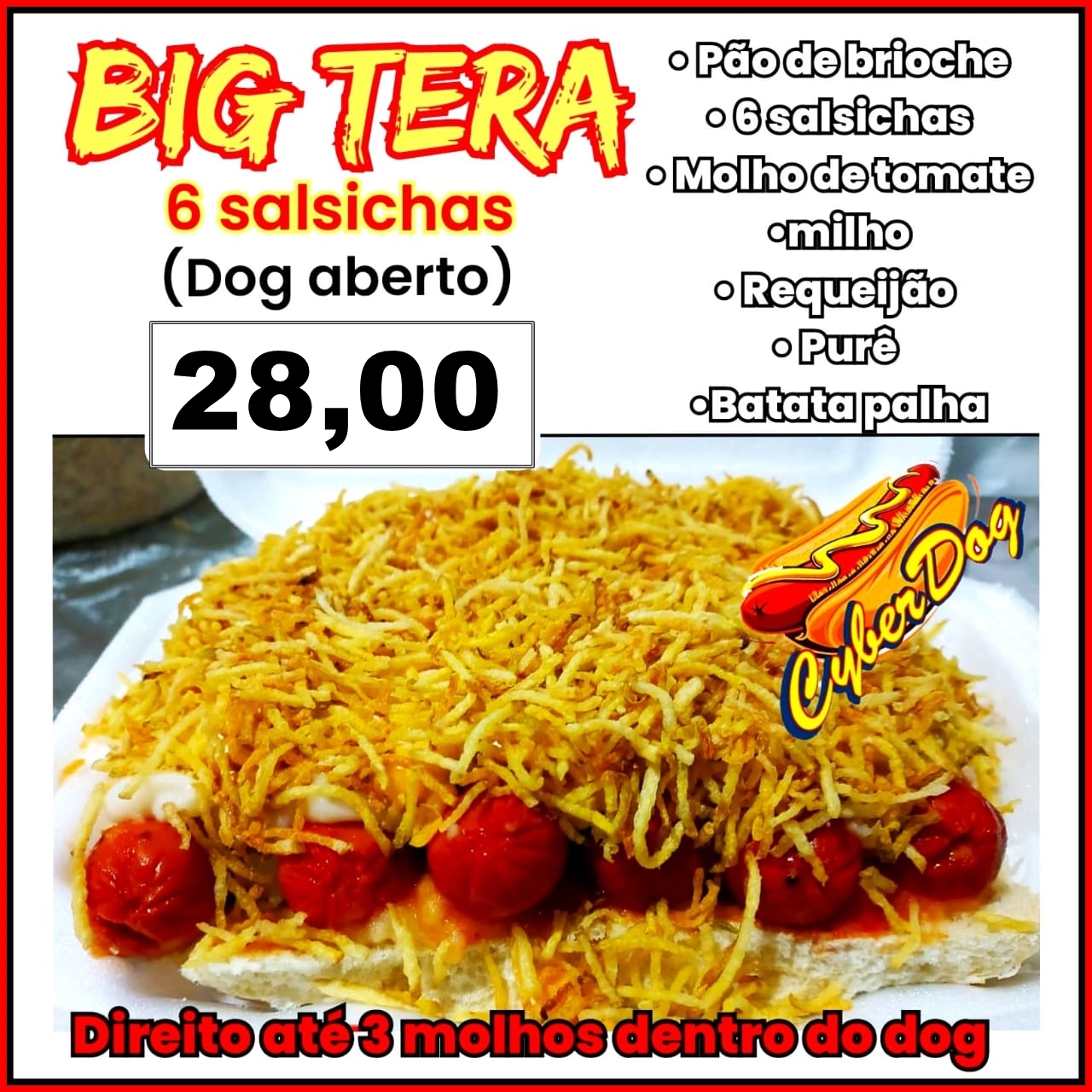 Big Tera - O maior dog de Varginha